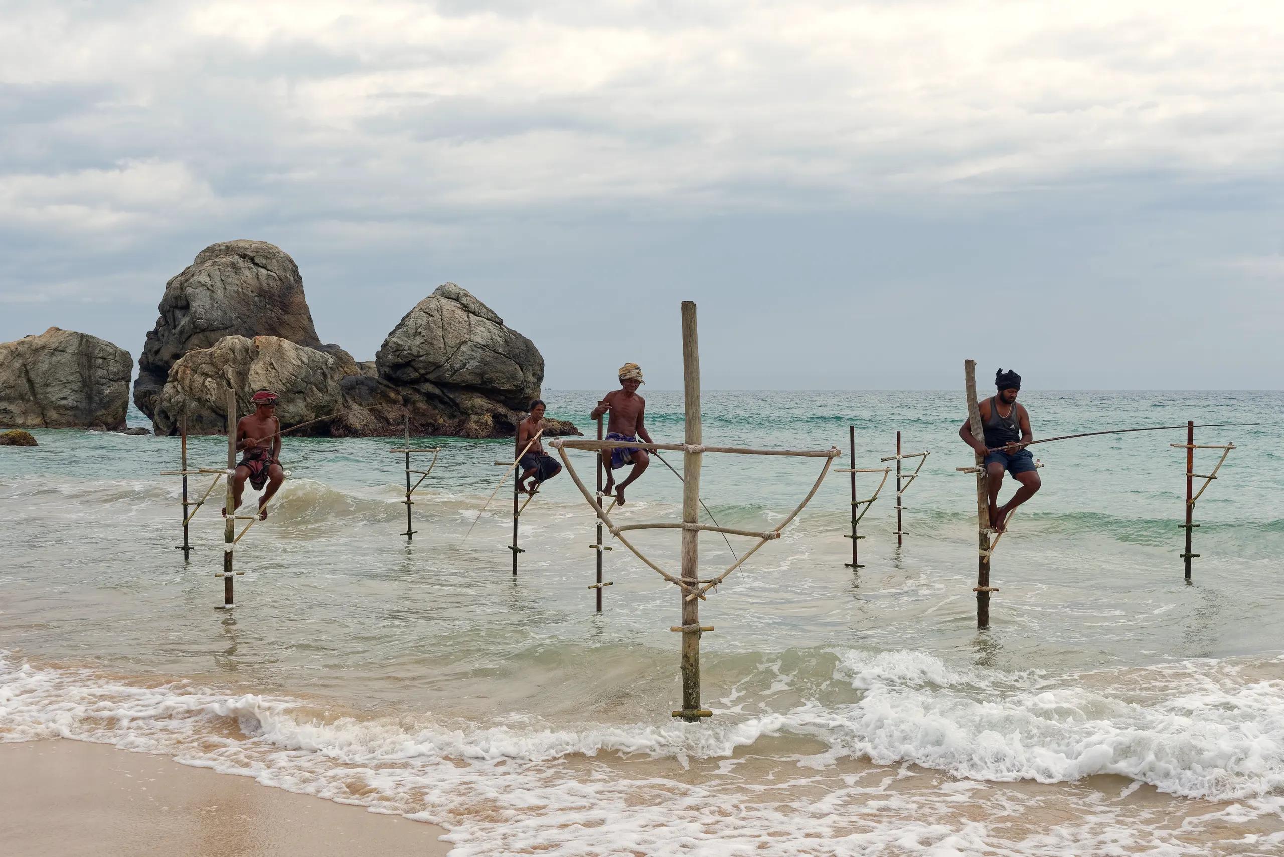 Stilt fishermen on the south coast near Galle